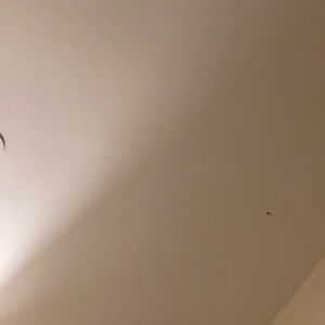 Meet your Posher, Sophia